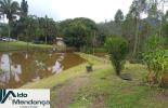 Foto 03