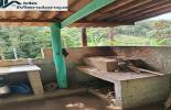 Foto 08