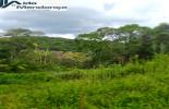 Foto 08