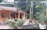 Foto 01