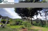 Foto 04