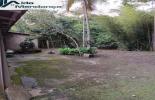 Foto 02
