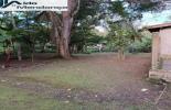 Foto 03