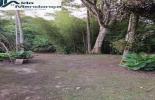 Foto 04