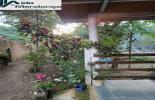 Foto 06