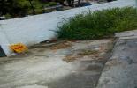 202505201232137266.jpeg