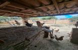 QUINTAL