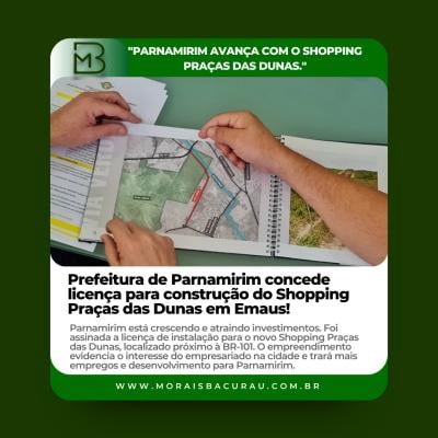 noticia